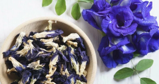 Butterfly Pea Tea Health Benefits