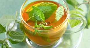 Spearmint Tea Benefits